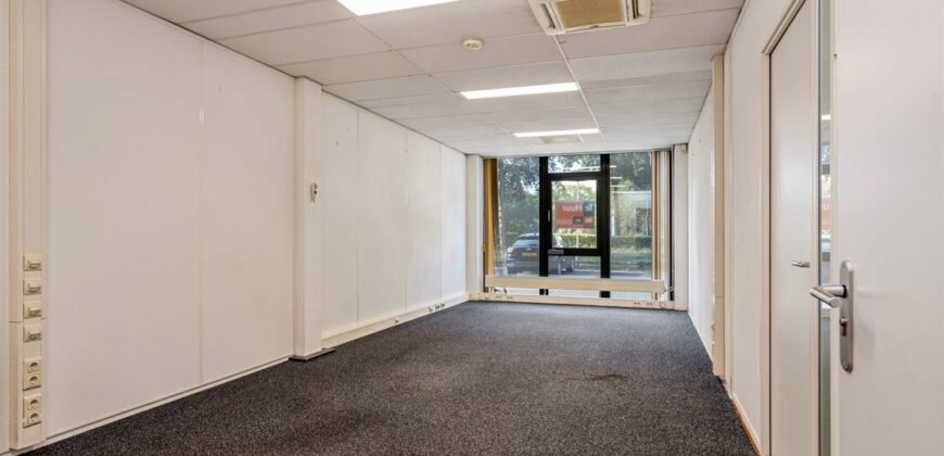 Van Boetzelaerlaan 24-P