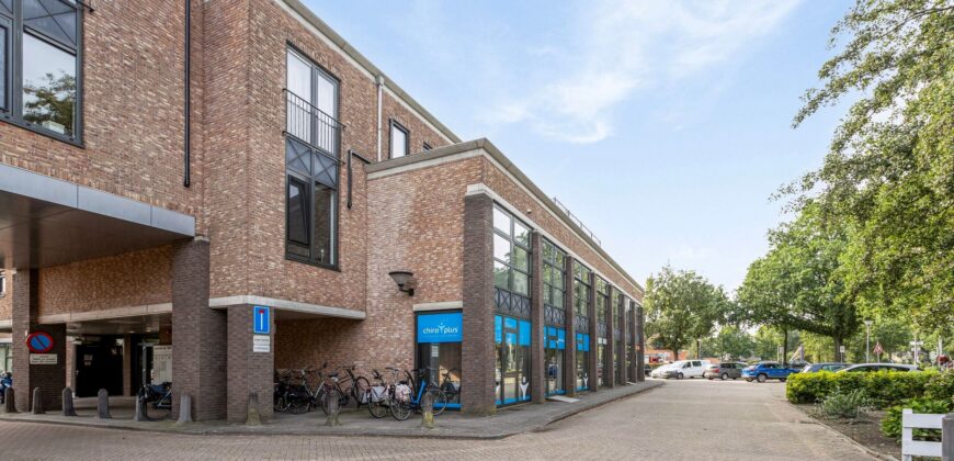 Van Boetzelaerlaan 24-I